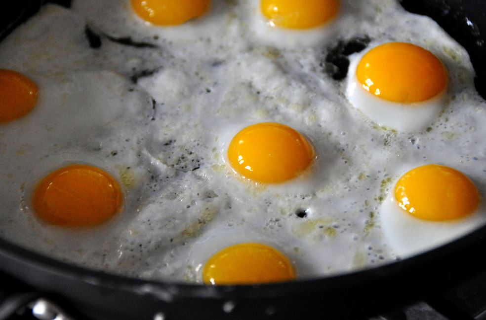 eggs